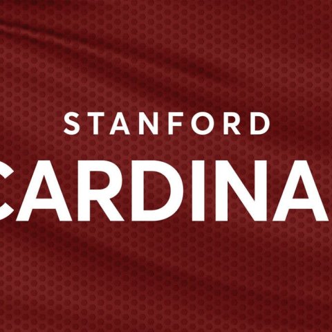 Stanford University Cardinal Volleyball