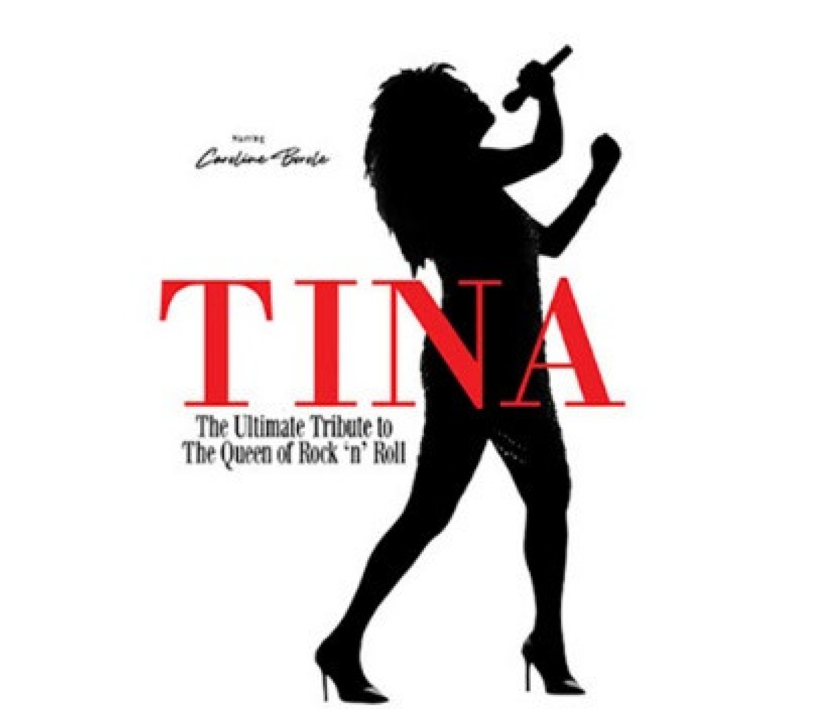 TINA The Ultimate Tribute to the Queen of Rock ‘n’ Roll!