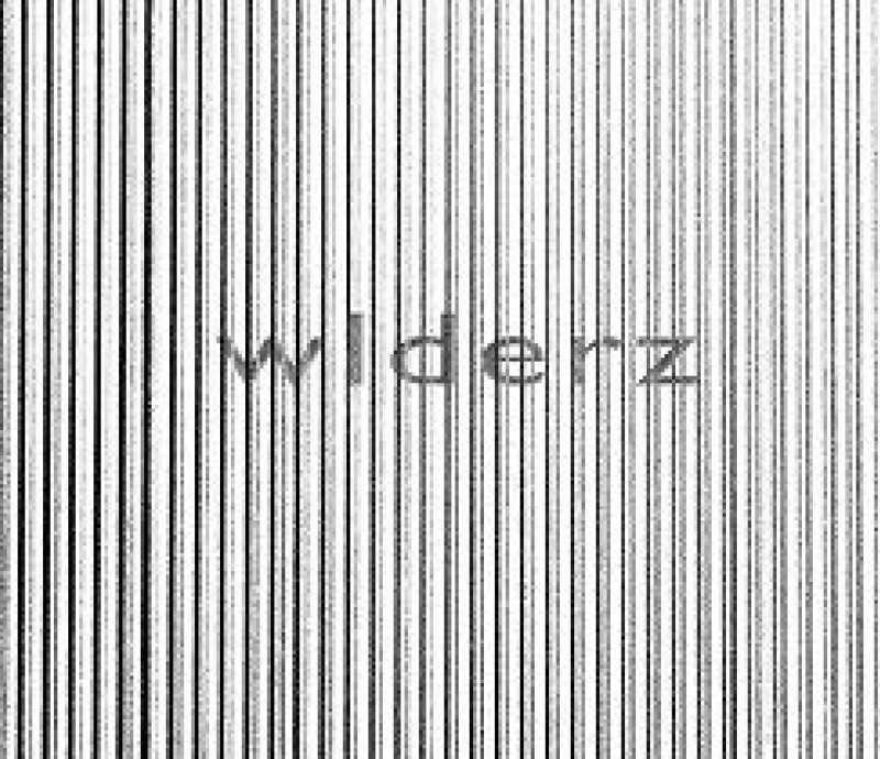 Wlderz