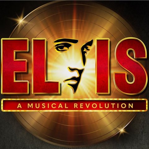 Elvis - A Musical Revolution