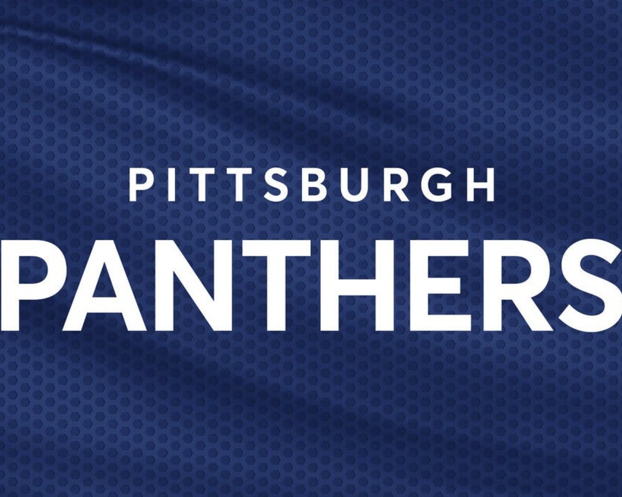 Pittsburgh Panthers Baseball