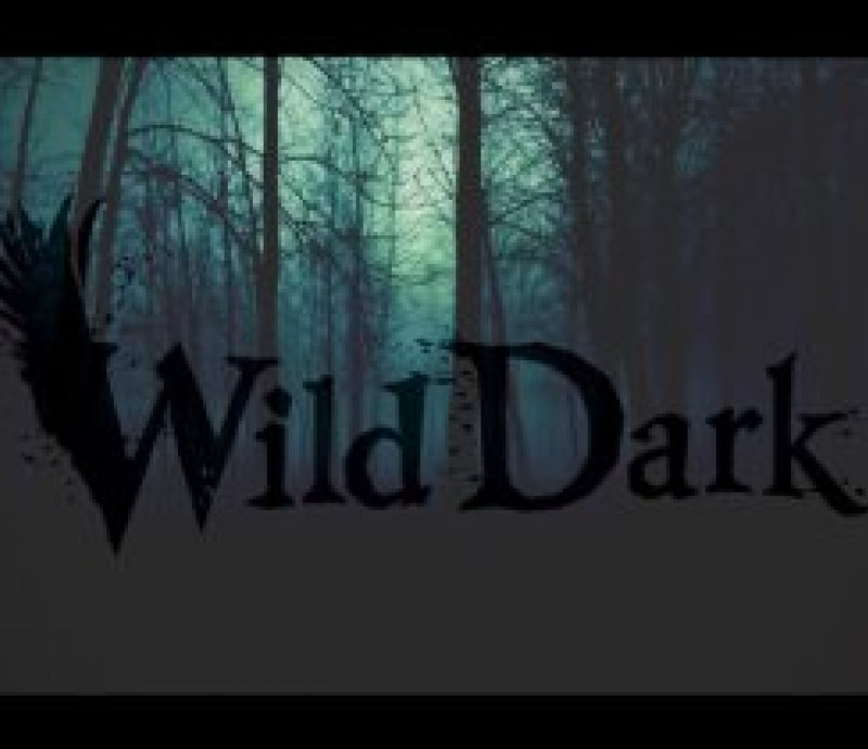 Wild Dark