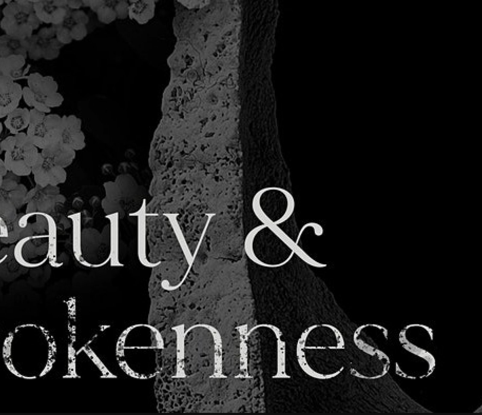 Beauty & Brokenness