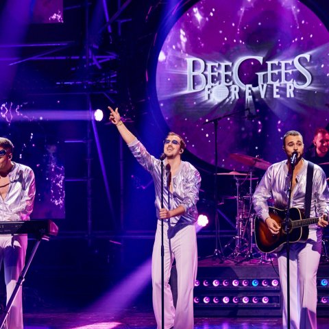 Bee Gees Forever
